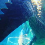 32459_1445614910