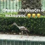 48325_1509036538
