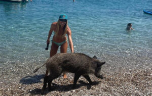 Μαριέττα Χρουσαλά: Κολύμπησε στην Άτοκο δίπλα σε γουρούνια