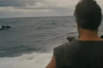 «Οδύσσεια»: Τα δελφίνια εμφανίστηκαν τυχαία στα γυρίσματα»